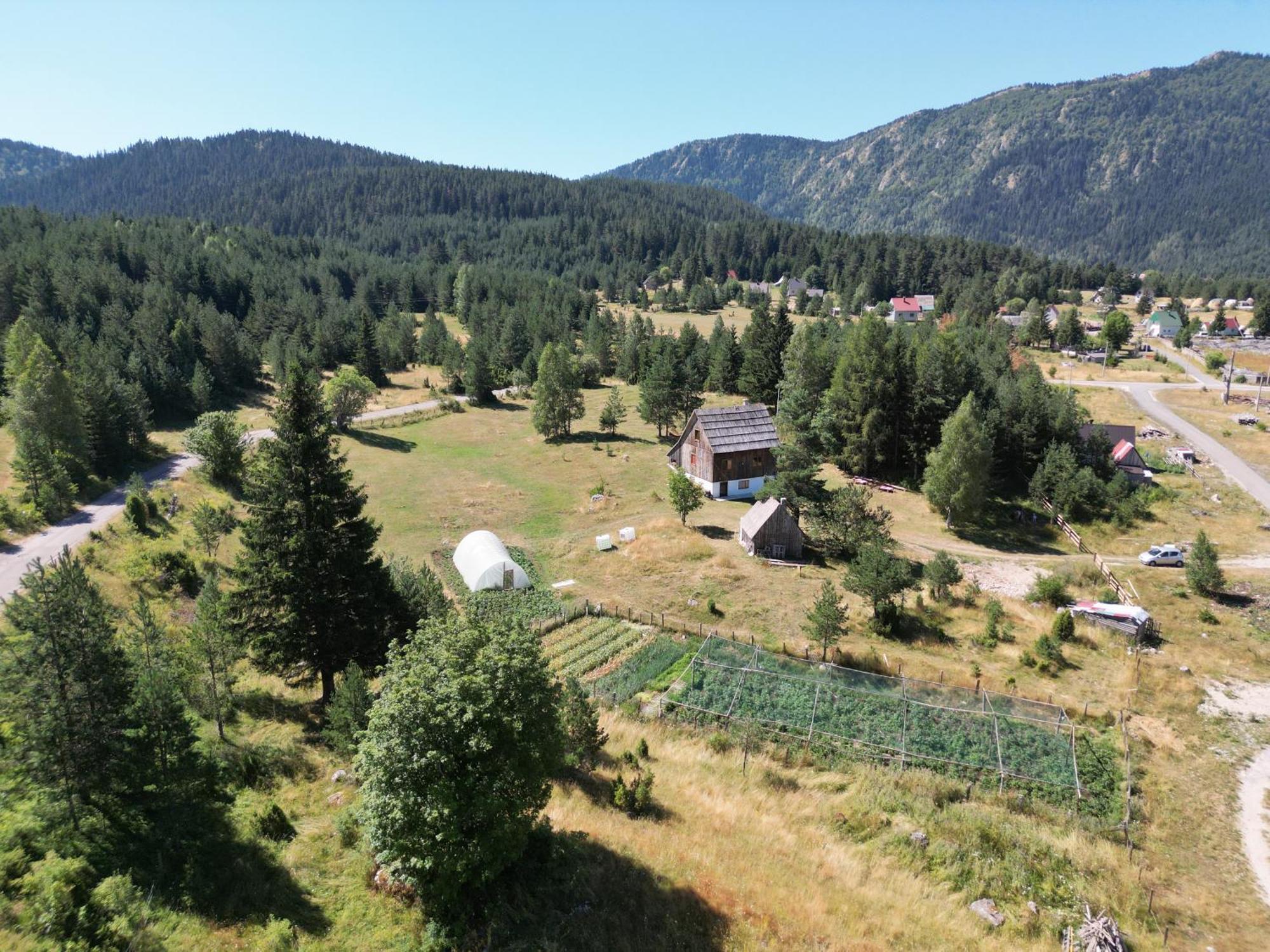 Vukov Konak - Wolf'S Lodge Žabljak Exterior foto
