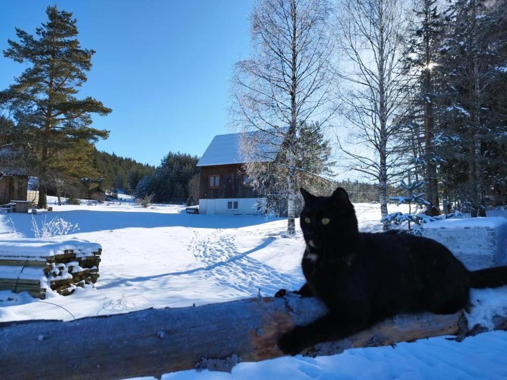 Vukov Konak - Wolf'S Lodge Žabljak Exterior foto
